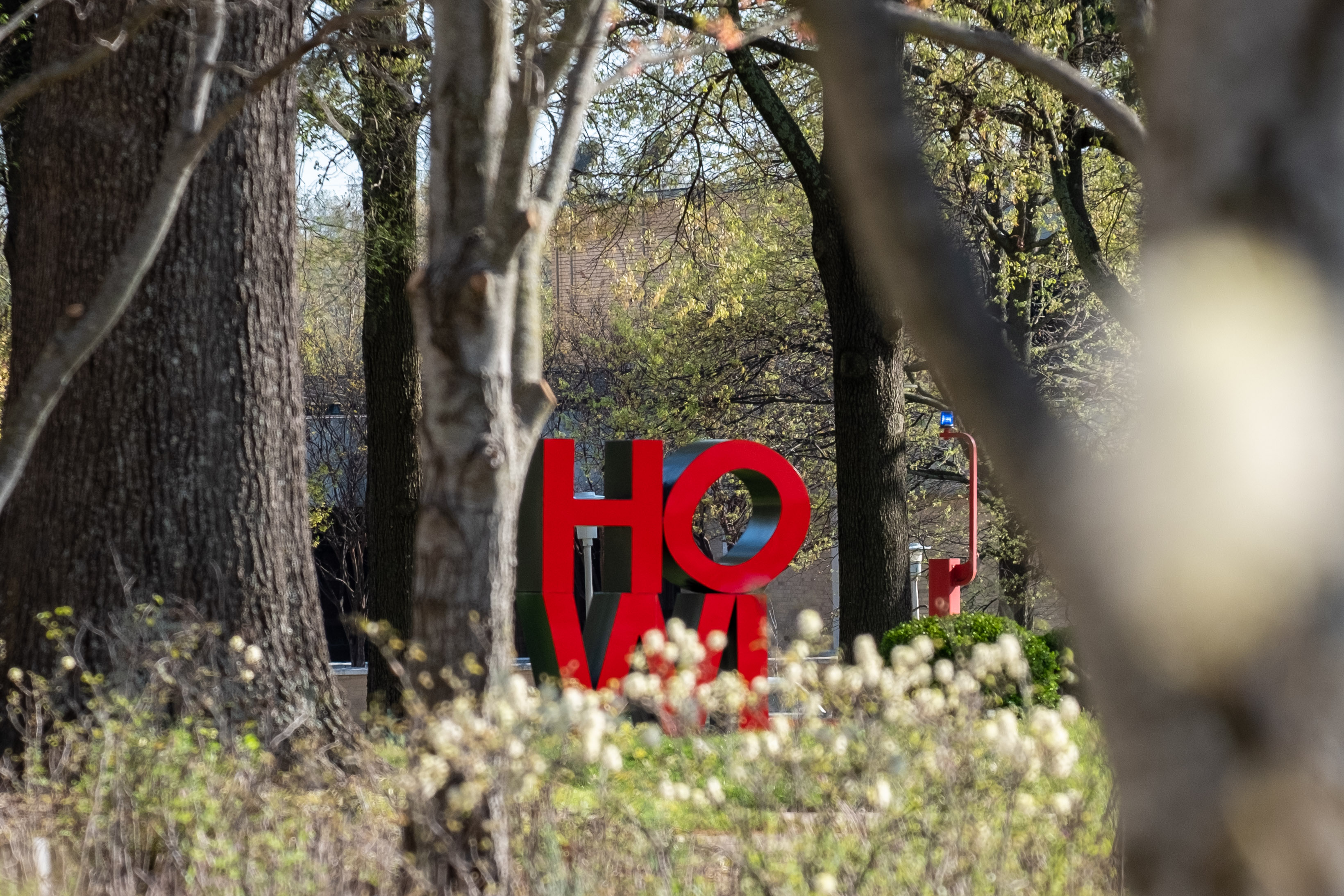 A view of the HOWL statue taken from a distance.  There are trees framing the statue and cream, fluffy topped grasses in front.